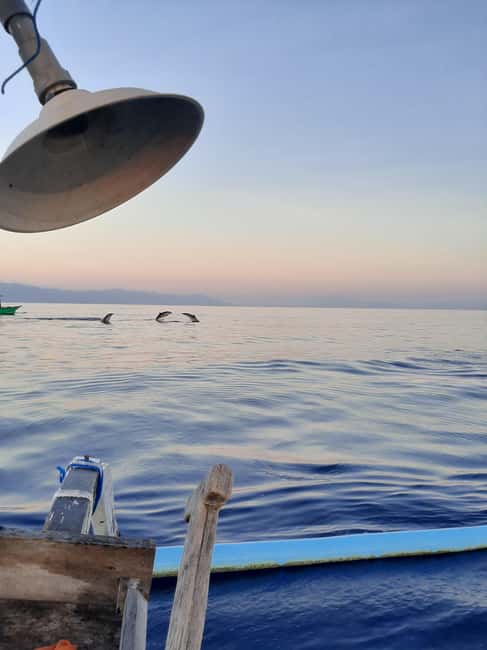 image n.12 of Bali dolphin, swim & snorkeling in Lovina Bali activity in Lovina, uploaded by supplier