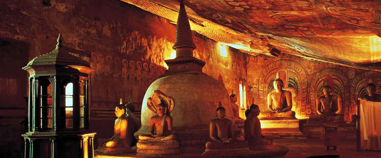 image n.10 of From Colombo: Sigiriya and Dambulla Day Trip and Safari activity in Sigiriya, uploaded by supplier