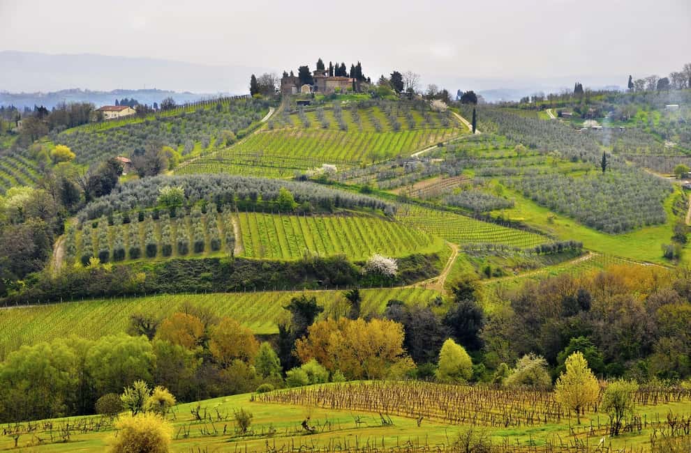Immagine nº 8 di Da Siena: tour in bici elettrica nel Chianti attività a Siena, caricata dal fornitore