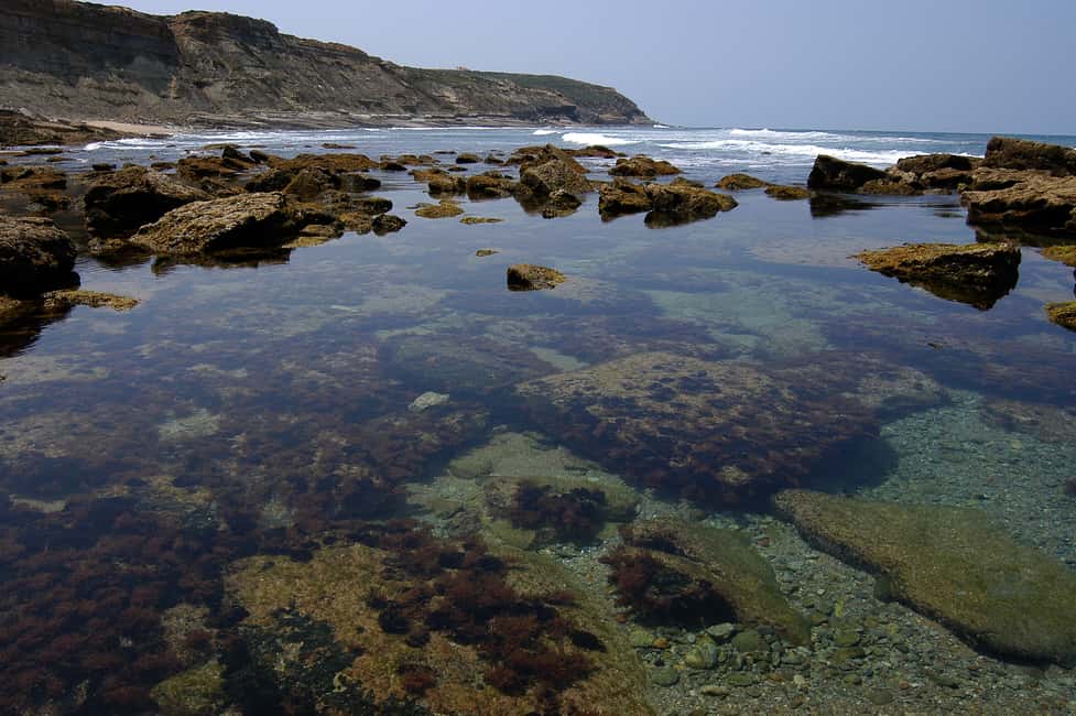 image n.6 of Hiking Tour Along the West Coastline activity in Sesimbra, uploaded by supplier
