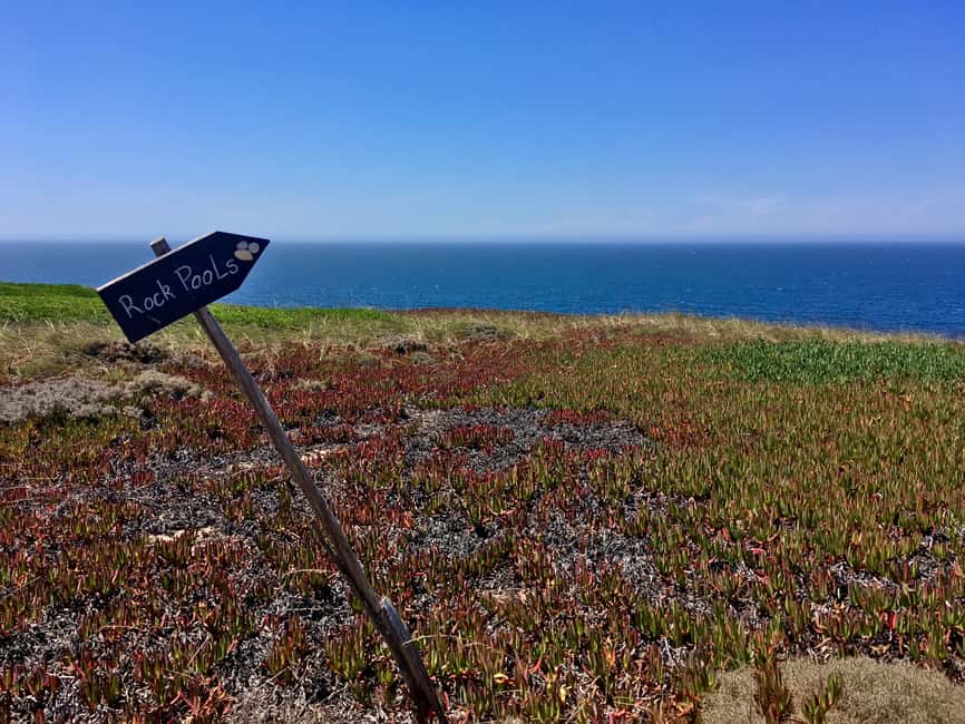 image n.7 of Hiking Tour Along the West Coastline activity in Sesimbra, uploaded by supplier