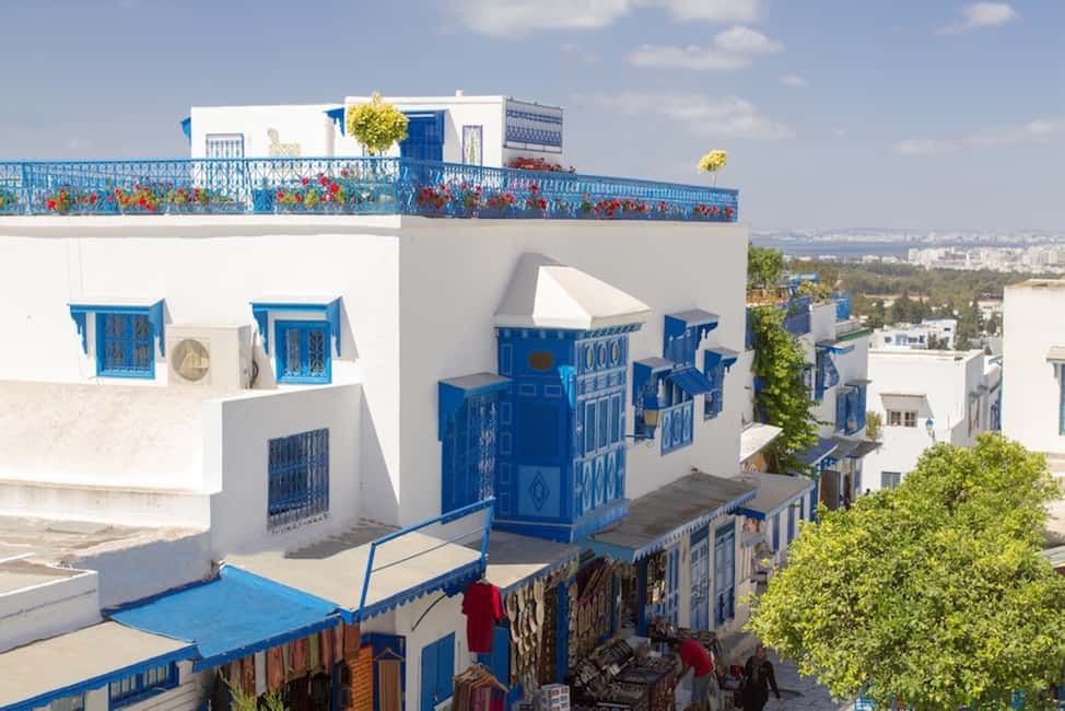 Image N°5 de Tunis : Visite de Carthage, du Bardo, de Sidi Bou Said et de la Médina activité à Tunis, publiée par le prestataire