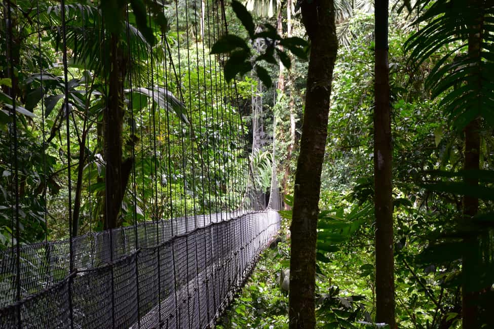 image n.2 of Arenal Hanging Bridges Half-Day Tour from La Fortuna activity in La Fortuna, uploaded by supplier