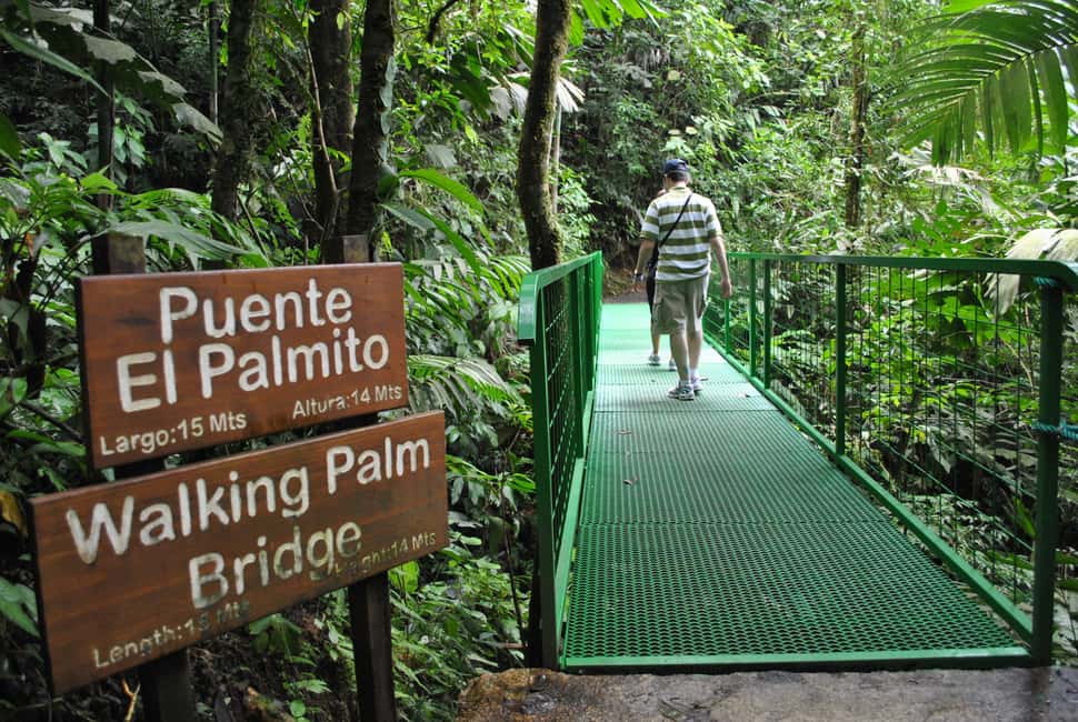 image n.9 of Arenal Hanging Bridges Half-Day Tour from La Fortuna activity in La Fortuna, uploaded by supplier