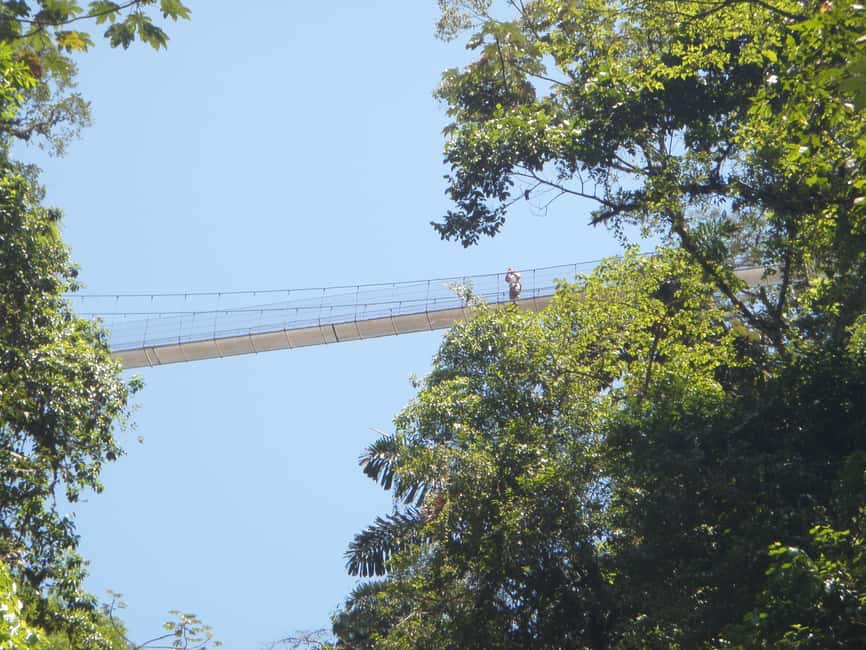 image n.11 of Arenal Hanging Bridges Half-Day Tour from La Fortuna activity in La Fortuna, uploaded by supplier