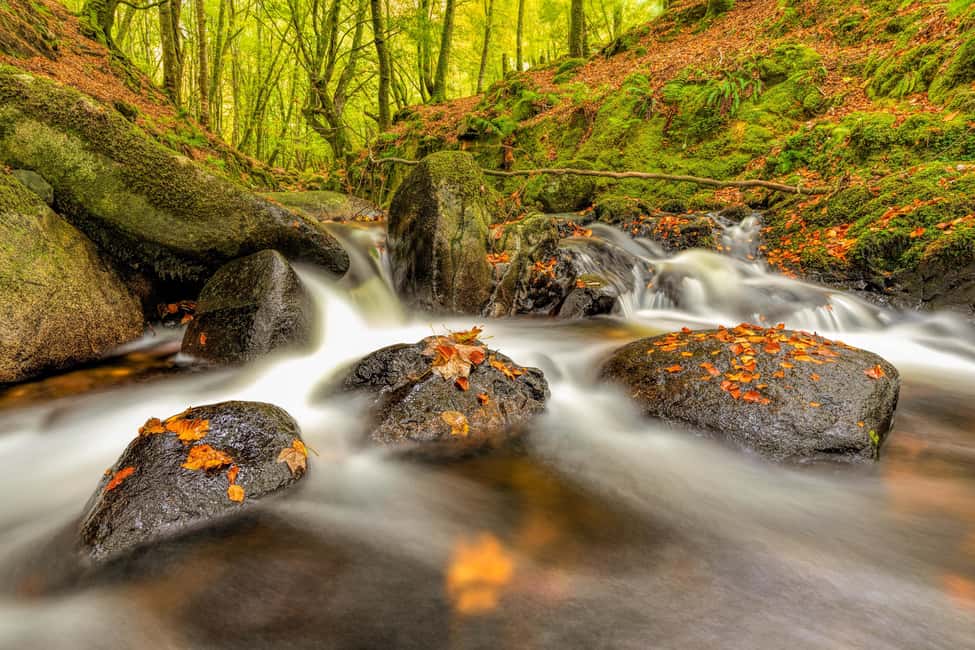 image n.3 of From Dublin: Wild Wicklow Mountains and Glendalough Tour activity in Dublin, uploaded by supplier