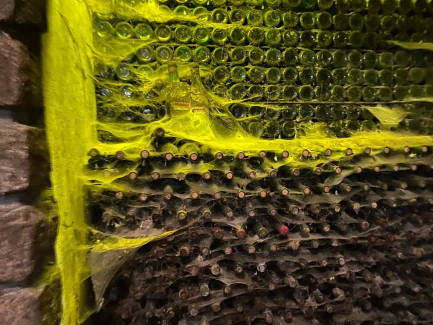 Immagine nº 3 di Tour della cantina di Santa Rosa e degustazione di Grand Cava attività a Montevideo, caricata dal fornitore