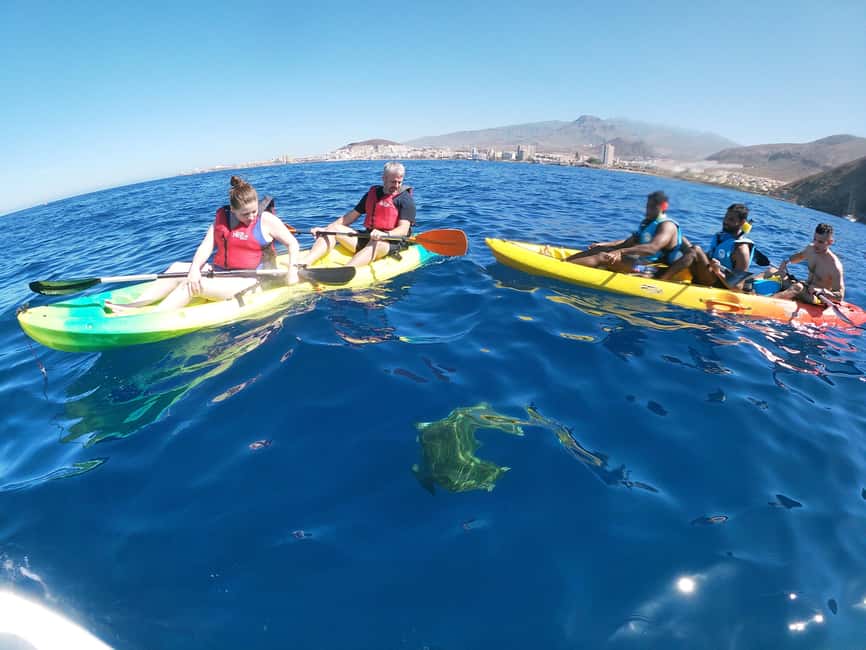 image n.53 of Tenerife: Kayak & Snorkel with Turtles & Dolphins w/Photos activity in Los Cristianos, uploaded by supplier
