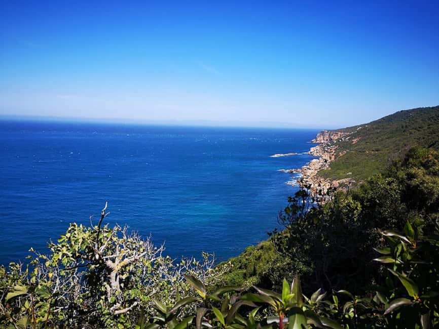imagem n.10 de Tânger: Viagem de 1 dia a partir de Tarifa atividade em Tarifa, carregada pelo fornecedor