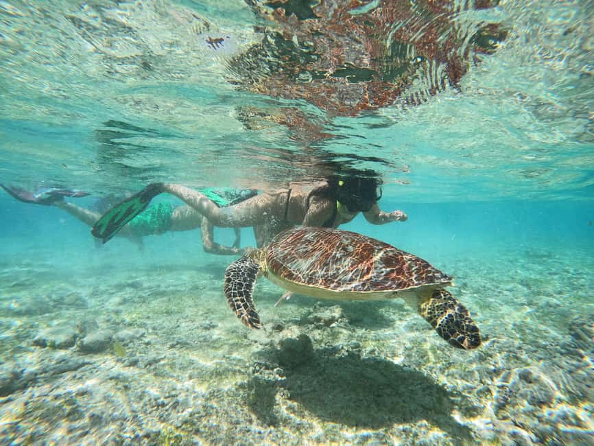 imagem n.5 de De Lombok: Viagem de 1 dia para mergulho com snorkel nas Ilhas Gili atividade em Sonda Ocidental, carregada pelo fornecedor