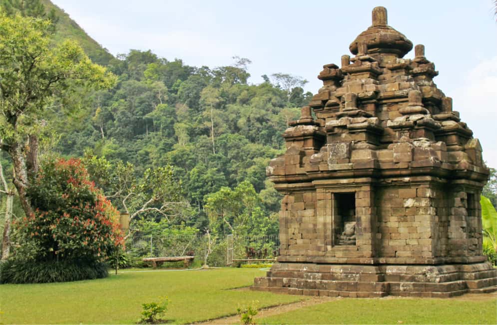 image n.5 of Yogyakarta: Selogriyo Temple Tour & Java Rice Terrace Trek activity in Kota Magelang, uploaded by supplier