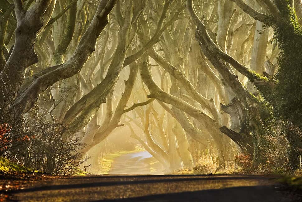 Image N°10 de Belfast : Game of Thrones - Les îles de fer et la Chaussée des Géants activité à Royaume-Uni, publiée par le prestataire