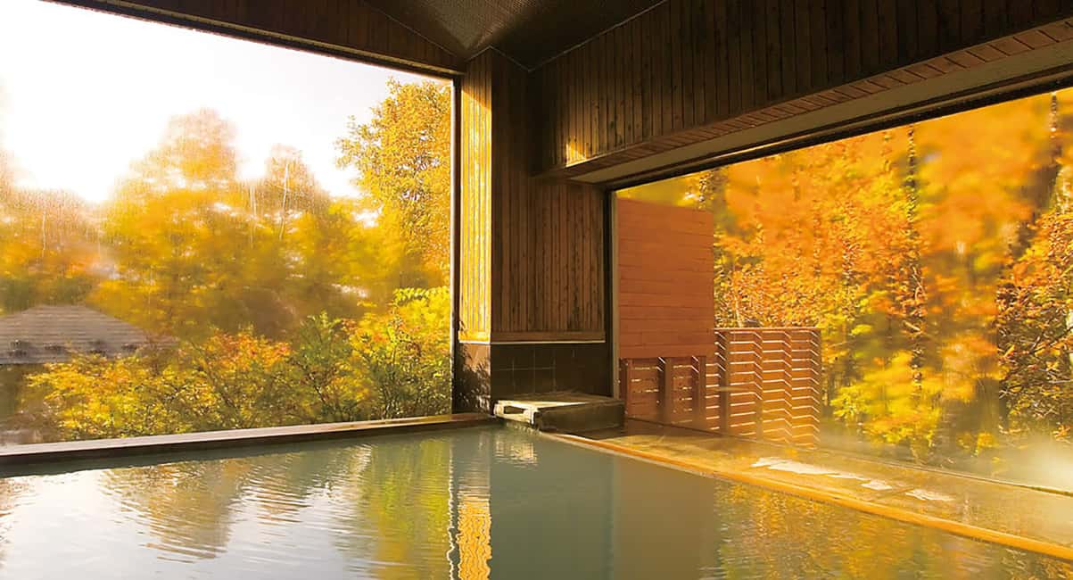 imagen n.º 13 de Tokio: Visita al Santuario Nikko Toshogu y a la Cascada Kegon actividad en Nikkō, subida por el proveedor