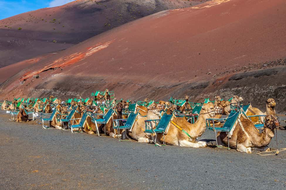 Bild Nr. 5 von Lanzarote: Vulkane von Timanfaya und Höhlen Tour mit Mittagessen Aktivität in Haría, hochgeladen vom Anbieter
