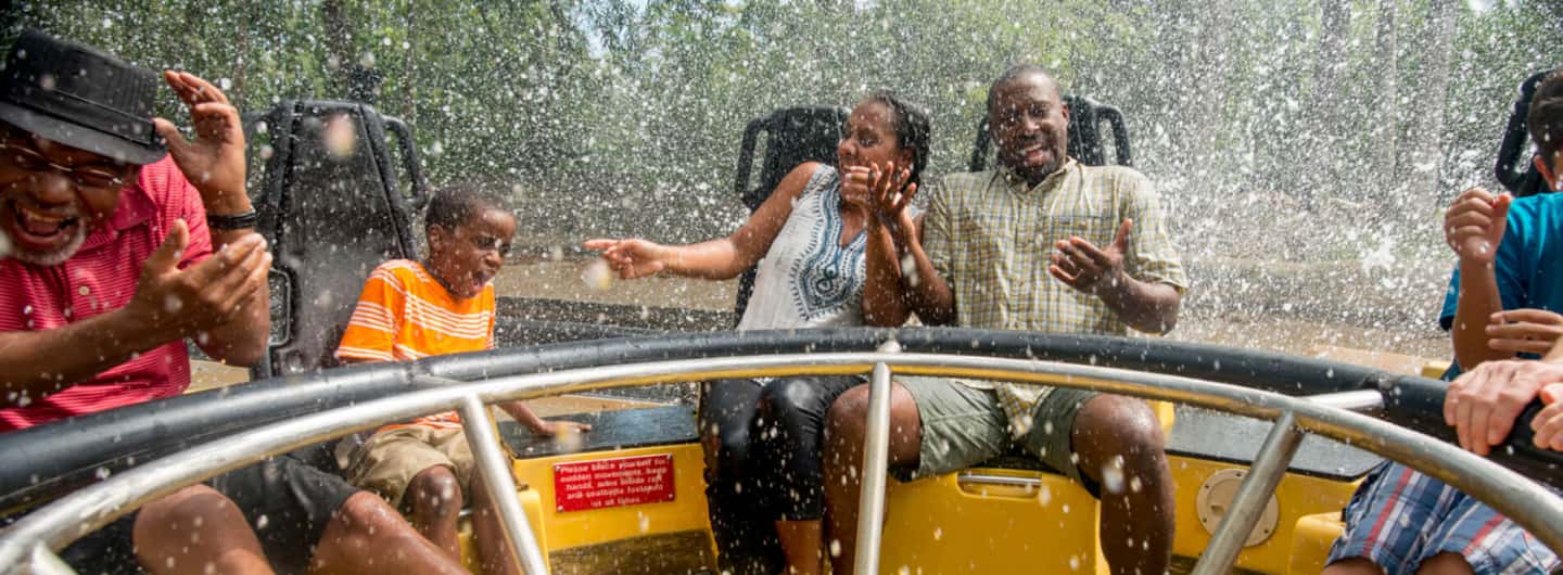 image n.1 of Tampa: Busch Gardens Tampa Bay Ticket & Multi-Park Options activity in Tampa, uploaded by supplier