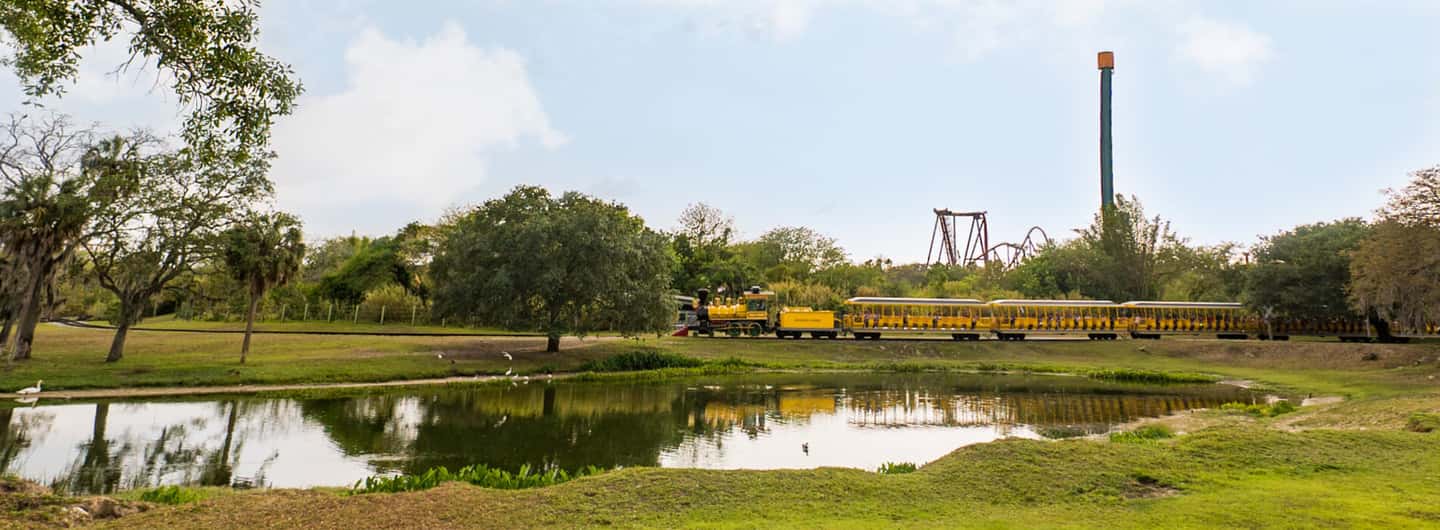 image n.5 of Tampa: Busch Gardens Tampa Bay Ticket & Multi-Park Options activity in Tampa, uploaded by supplier