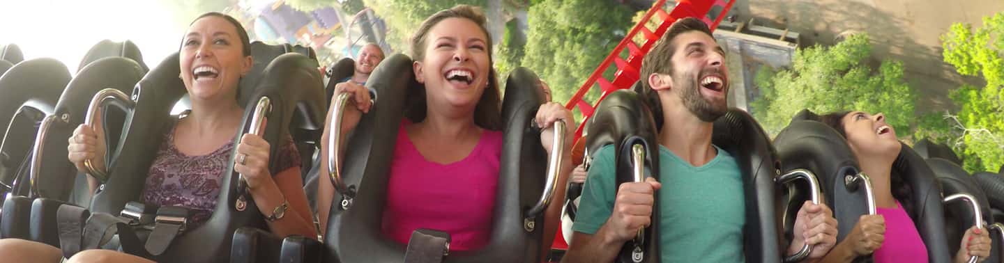 image n.6 of Tampa: Busch Gardens Tampa Bay Ticket & Multi-Park Options activity in Tampa, uploaded by supplier