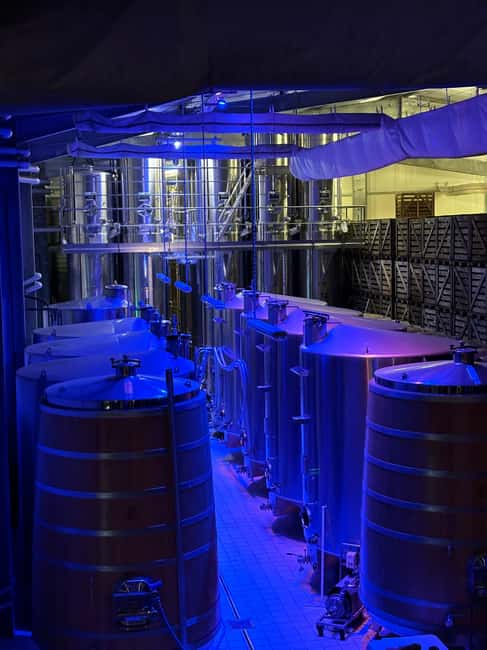 image n.12 of From Reims: Champagne and Family-Run Wineries Tour activity in Epernay, uploaded by supplier