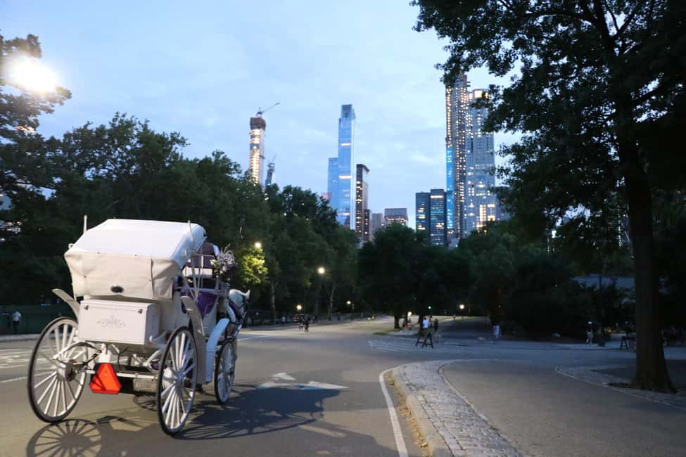image n.8 of Central Park: Short Horse Carriage Ride (Up to 4 Adults) activity in New York City, uploaded by supplier