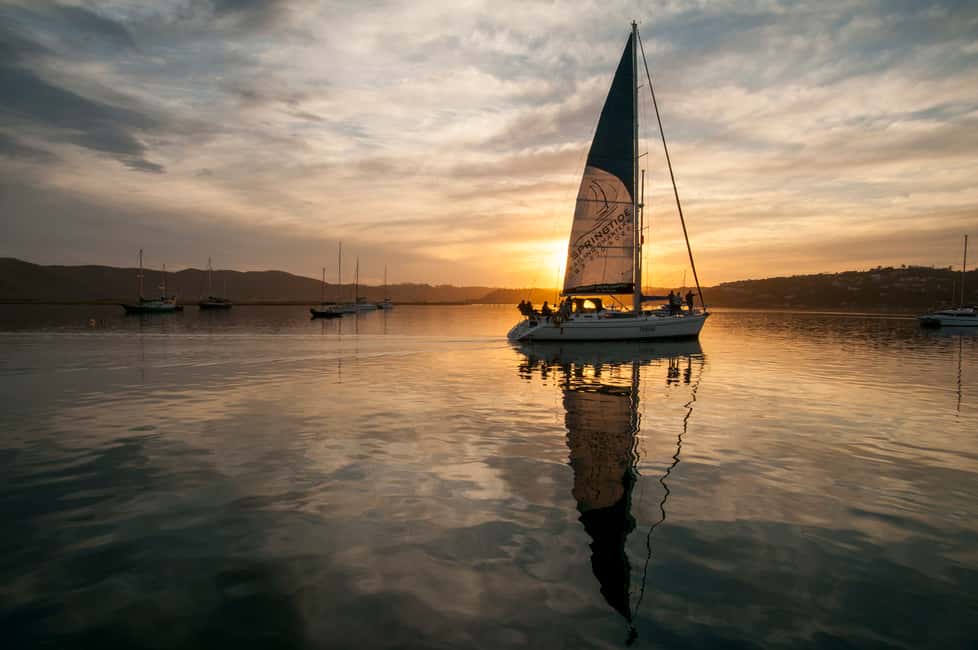 image n.2 of Knysna Sunset Sailing Cruise with Light Dinner and Wine activity in Knysna, uploaded by supplier