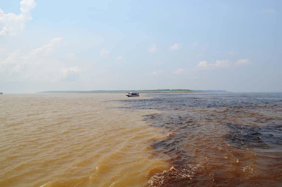 image n.3 of Amazon Jungle: 3- or 4-Day Tour at Ipanema River Guest House activity in Northeast Region, Brazil, uploaded by supplier