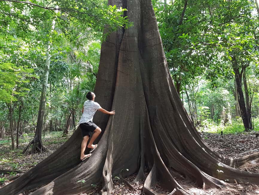 image n.1 of Amazon Jungle: 3- or 4-Day Tour at Ipanema River Guest House activity in Northeast Region, Brazil, uploaded by supplier