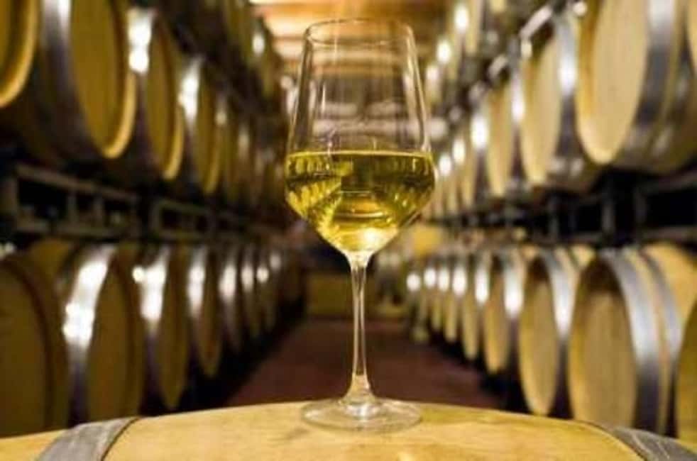 image n.6 of Marlborough Half-Day Wine Tour from Blenheim activity in Blenheim, uploaded by supplier