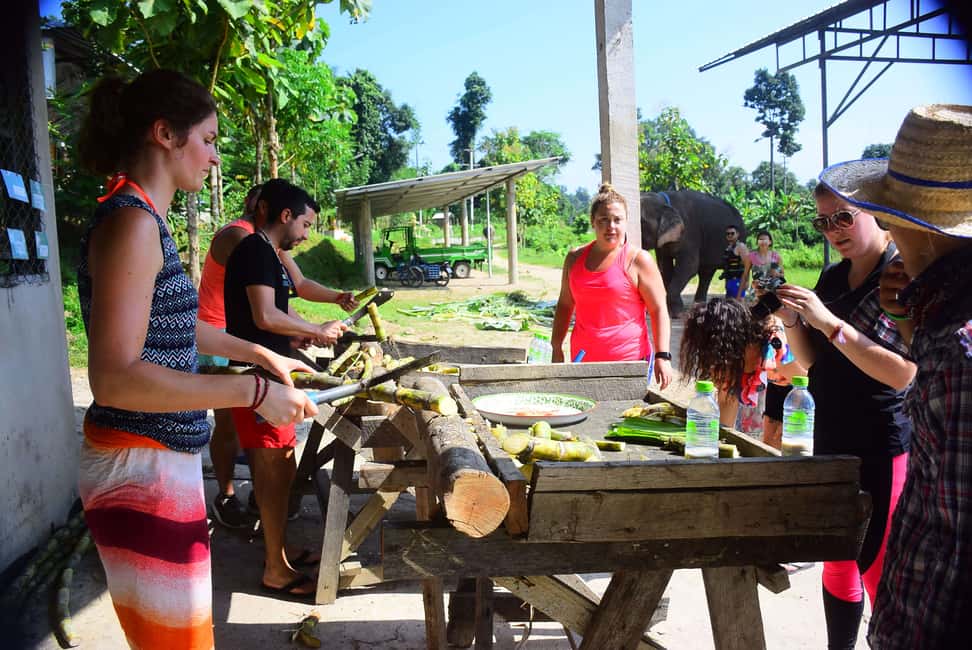 image n.4 of From Chiang Mai: Elephant Care Program and Nursery Tour activity in Chiang Mai, uploaded by supplier