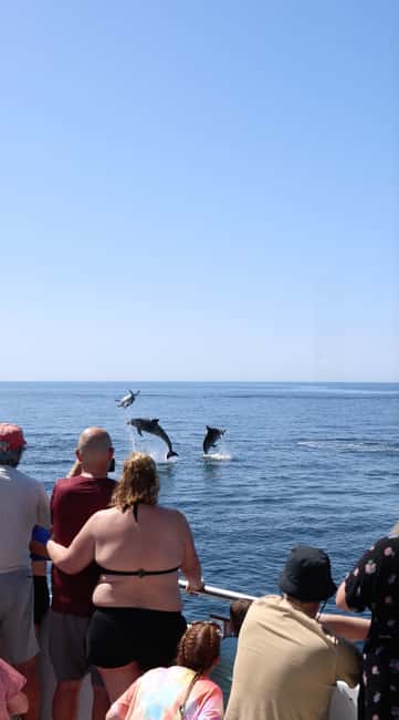 image n.2 of Vilamoura: Boat Tour Dolphin Quest activity in Vilamoura, uploaded by supplier