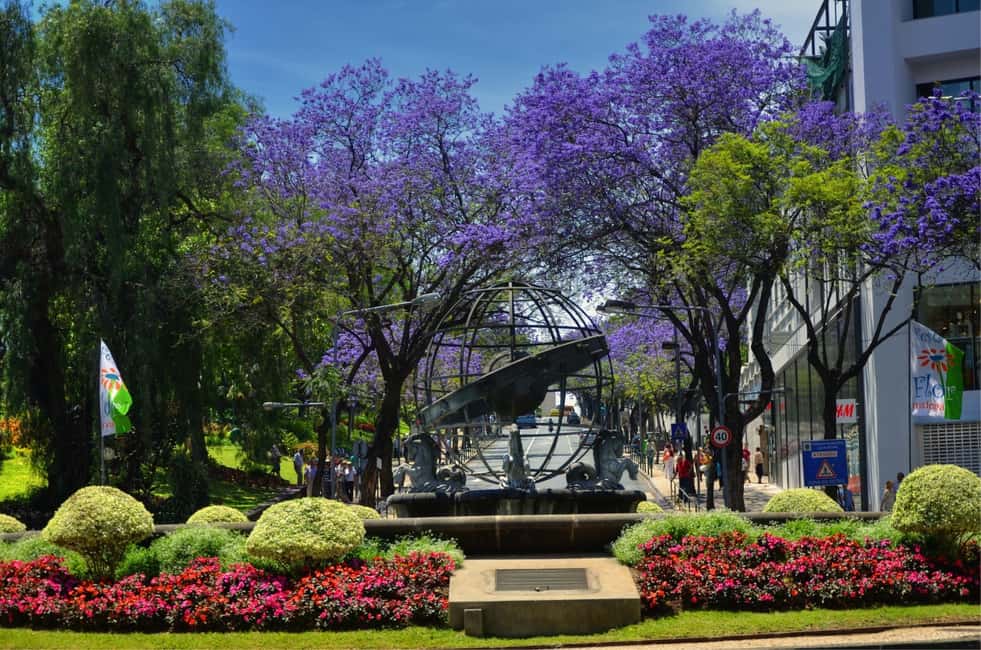 image n.5 of Madeira: Customized 3, 4 or 6-Hour Tour activity in Funchal, uploaded by supplier
