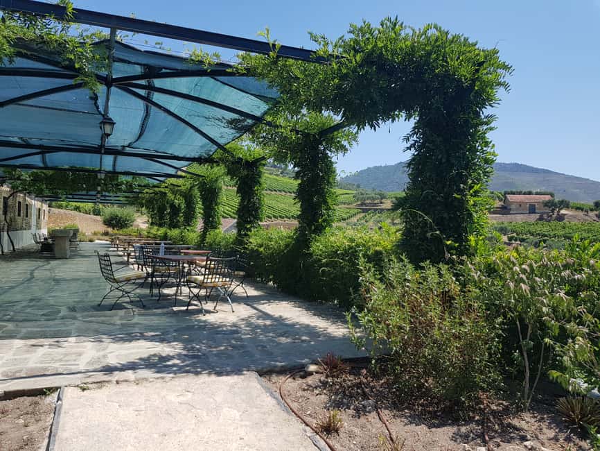 Bild Nr. 18 von Porto: 3 Douro Valley Vineyards Tour mit Mittagessen Aktivität in Região Norte, hochgeladen vom Anbieter
