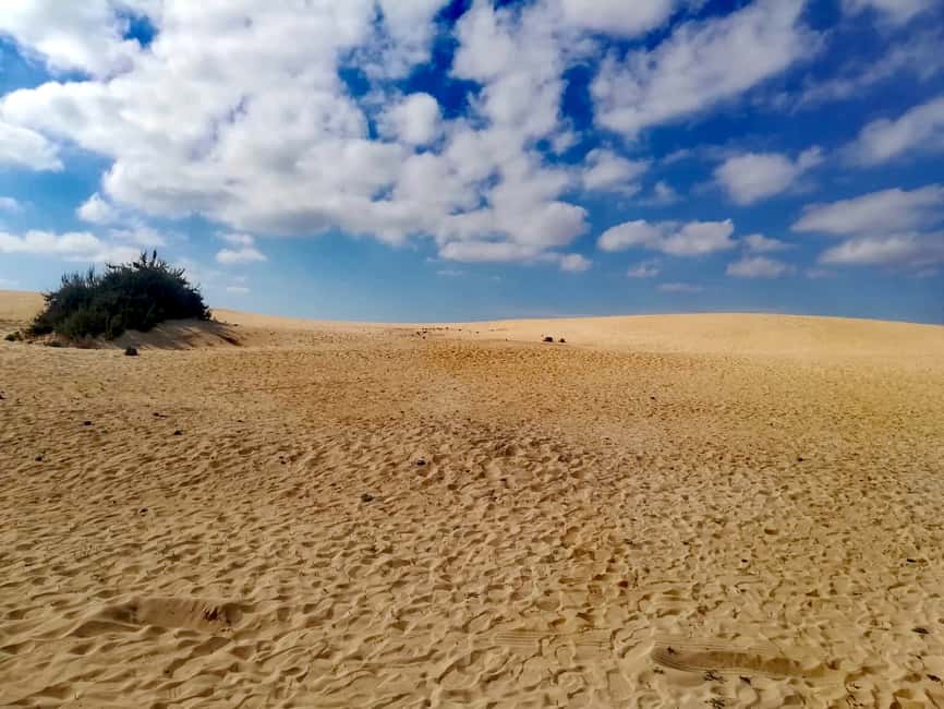 bild nr.7 av Fuerteventura: Norra Fuerteventura för kryssningspassagerare aktivitet i El Cotillo, uppladdad av arrangören