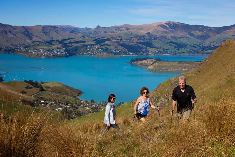 image n.6 of Christchurch: Guided Crater Rim Walk with Picnic activity in Christchurch, uploaded by supplier