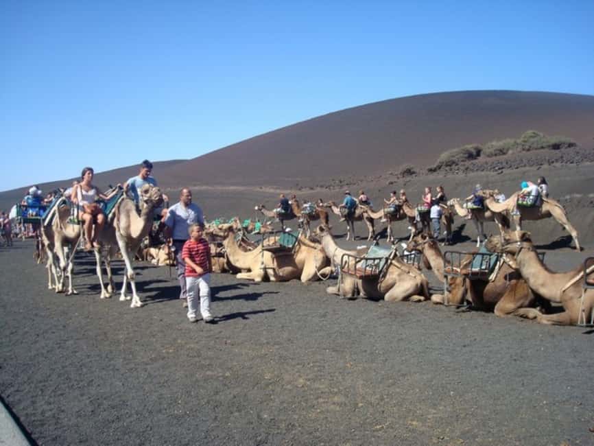 imagen n.º 4 de Lanzarote: Excursión al Parque Nacional de Timanfaya actividad en Yaiza, Lanzarote, subida por el proveedor