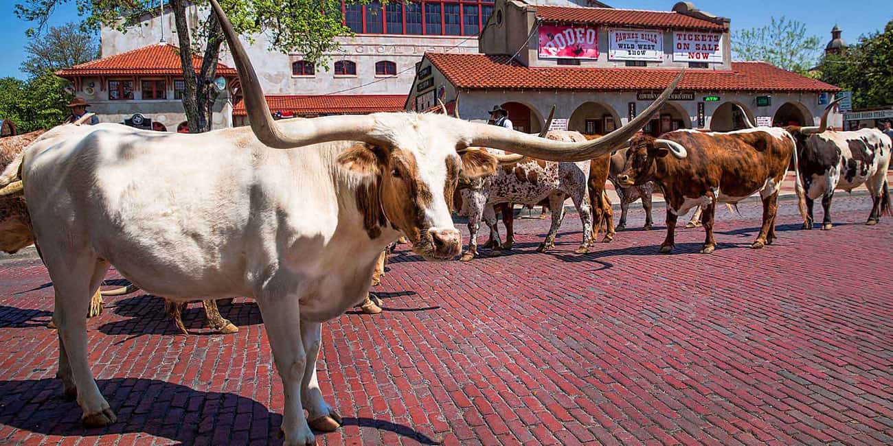 image n.1 of From Dallas: Fort Worth Guided Day Tour activity in Fort Worth, uploaded by supplier