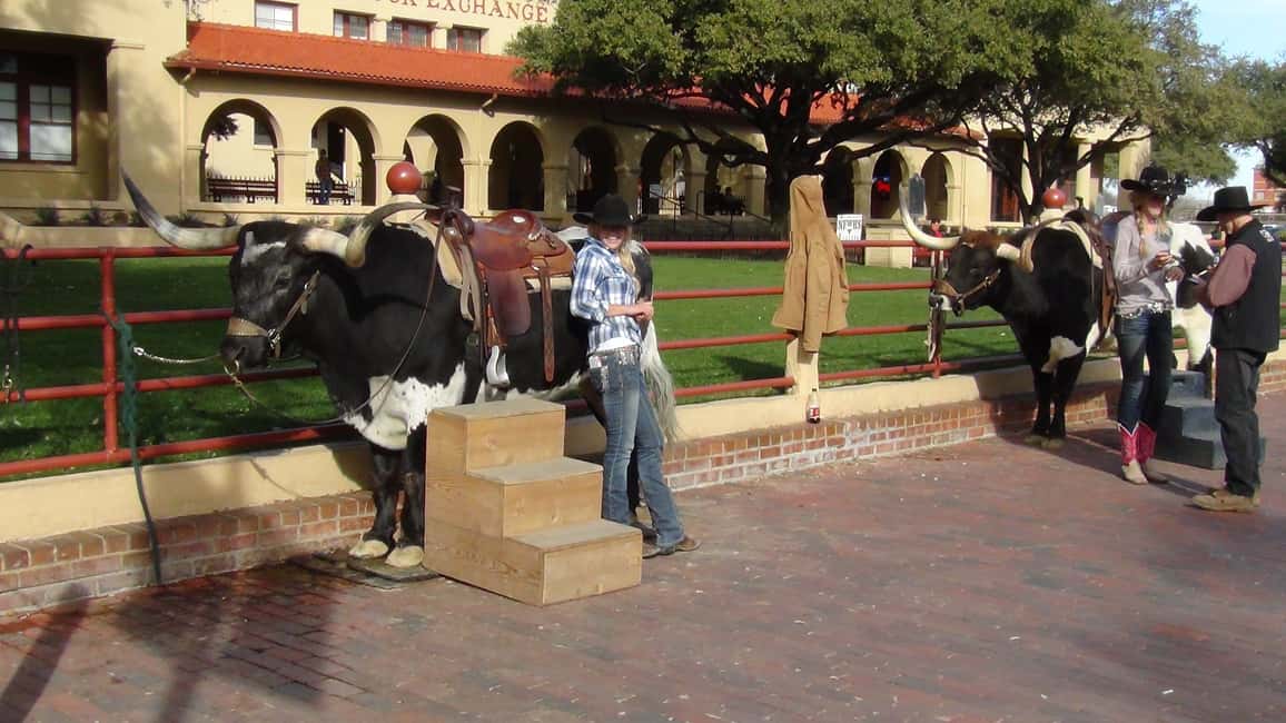 image n.3 of From Dallas: Fort Worth Guided Day Tour activity in Fort Worth, uploaded by supplier