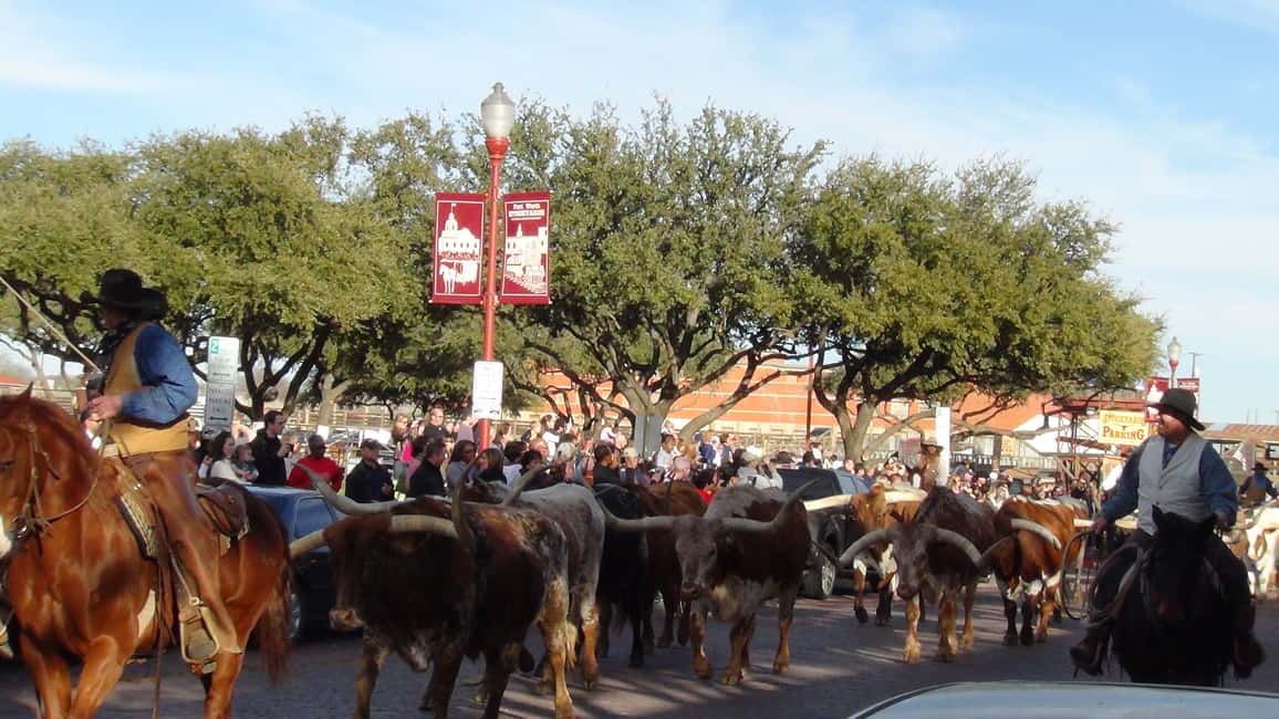 image n.18 of From Dallas: Fort Worth Guided Day Tour activity in Fort Worth, uploaded by supplier