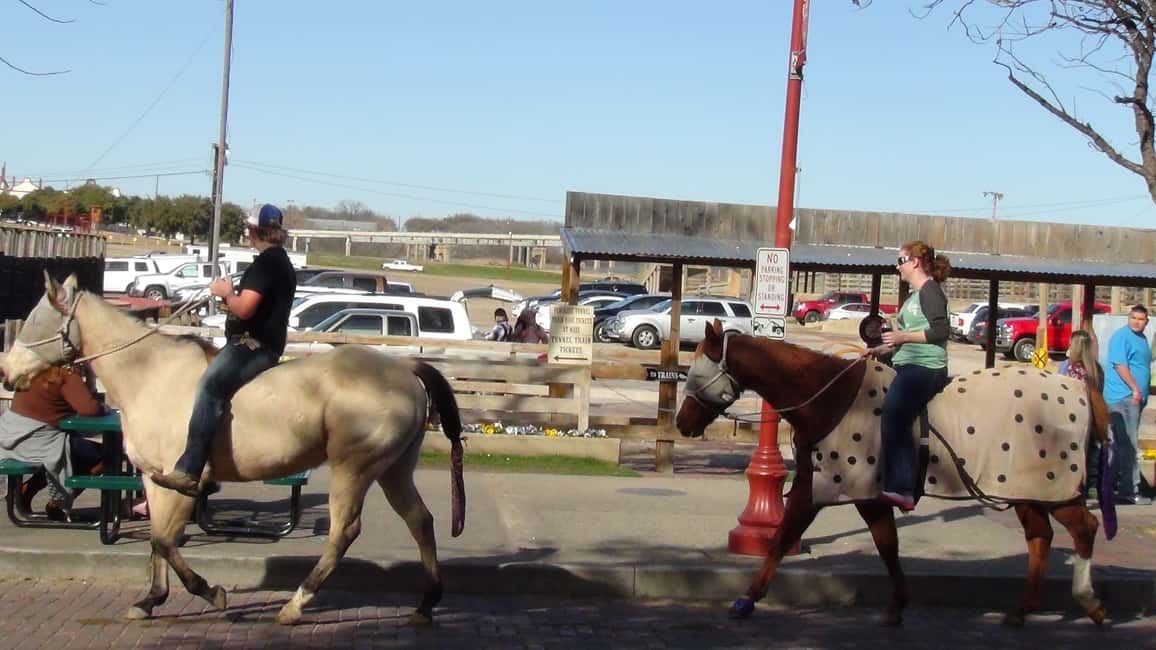 image n.21 of From Dallas: Fort Worth Guided Day Tour activity in Fort Worth, uploaded by supplier