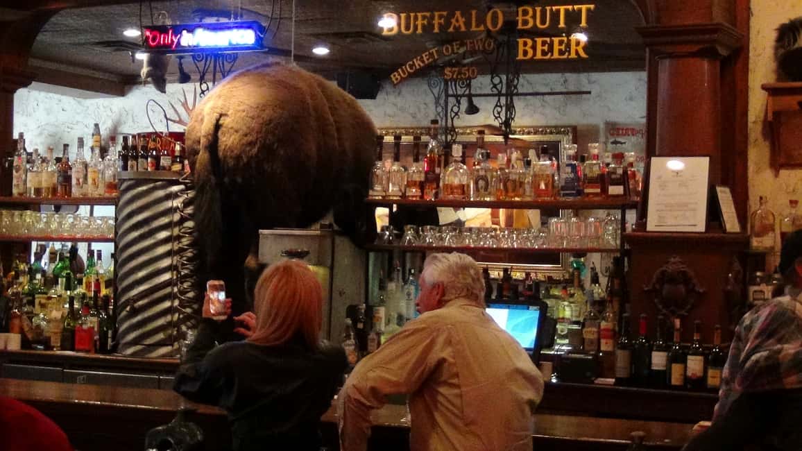 image n.23 of From Dallas: Fort Worth Guided Day Tour activity in Fort Worth, uploaded by supplier