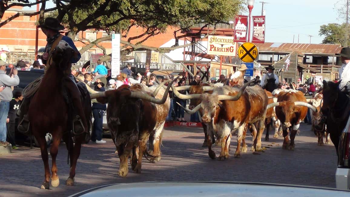 image n.24 of From Dallas: Fort Worth Guided Day Tour activity in Fort Worth, uploaded by supplier