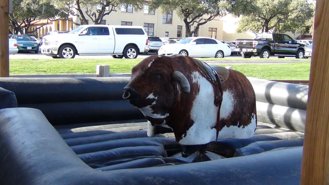 image n.26 of From Dallas: Fort Worth Guided Day Tour activity in Fort Worth, uploaded by supplier