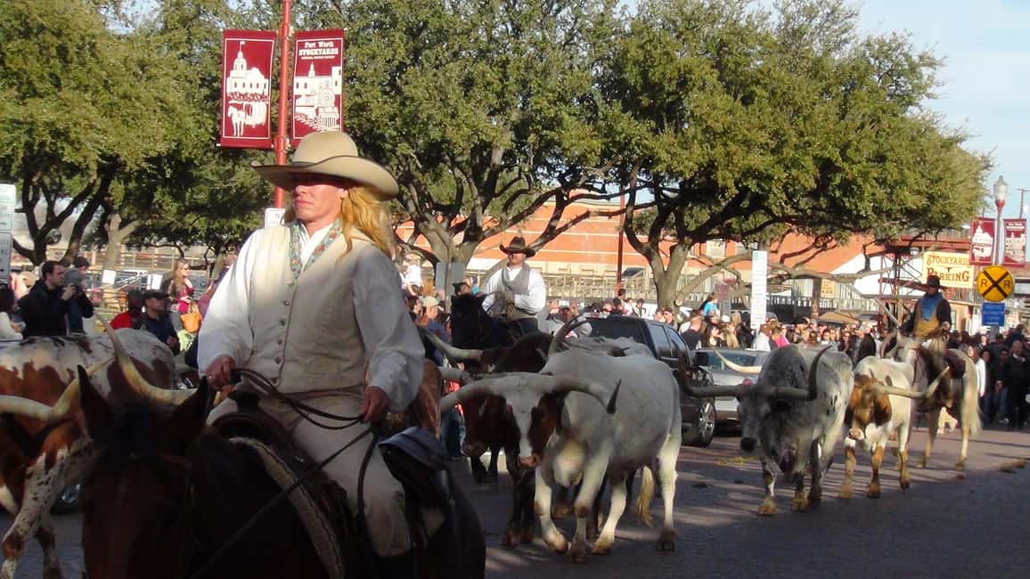 image n.30 of From Dallas: Fort Worth Guided Day Tour activity in Fort Worth, uploaded by supplier