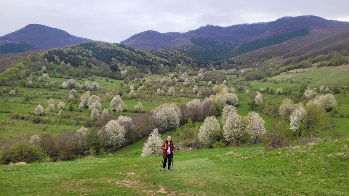 image n.15 of From Cluj: Turda Salt Mine, Gorge, and Remetea Full-Day Trip activity in Turda, uploaded by supplier