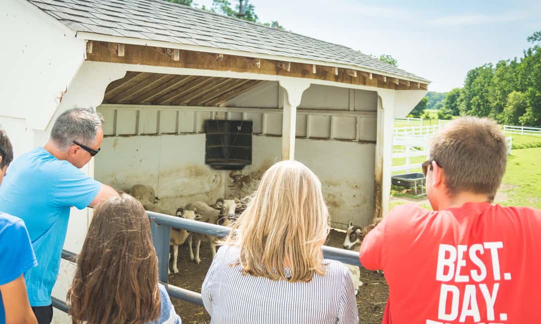 image n.3 of Private Lancaster County Amish Tour from Philadelphia activity in Philadelphia, uploaded by supplier