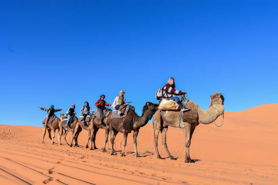 Image N°17 de Au départ de Fès : excursion de 3 jours et 2 nuits dans le désert jusqu'à Marrakech activité à Drâa-Tafilalet, publiée par le prestataire
