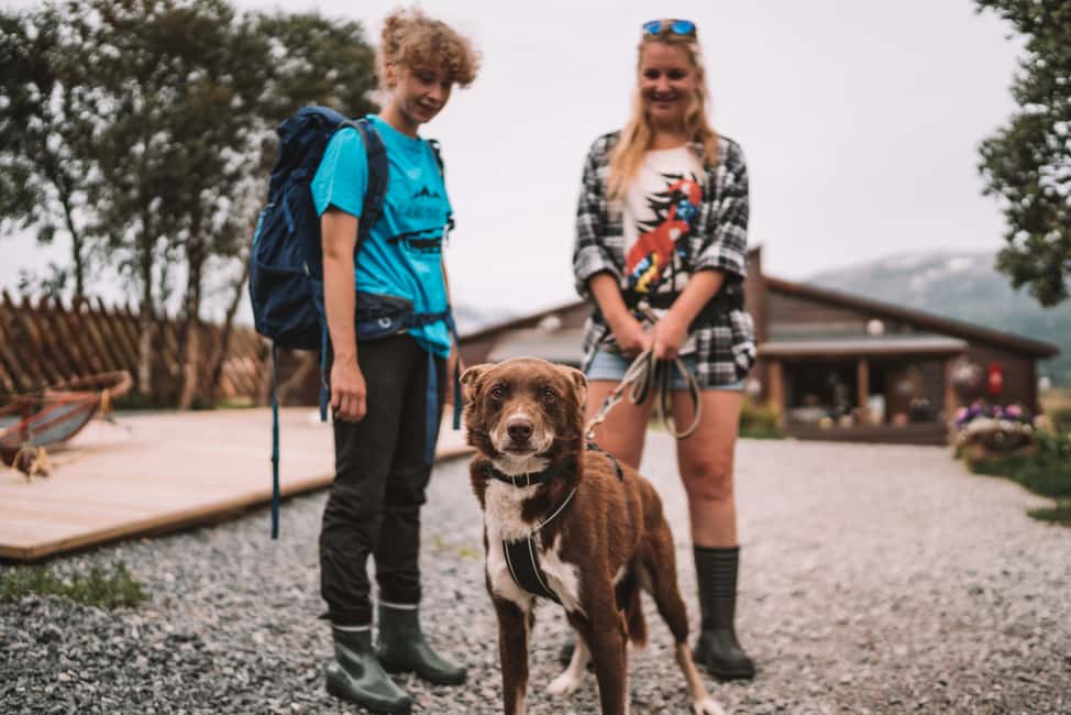 image n.6 of Tromsø: Husky Hike and Puppy Visit with Traditional Lunch activity in Tromsø, uploaded by supplier