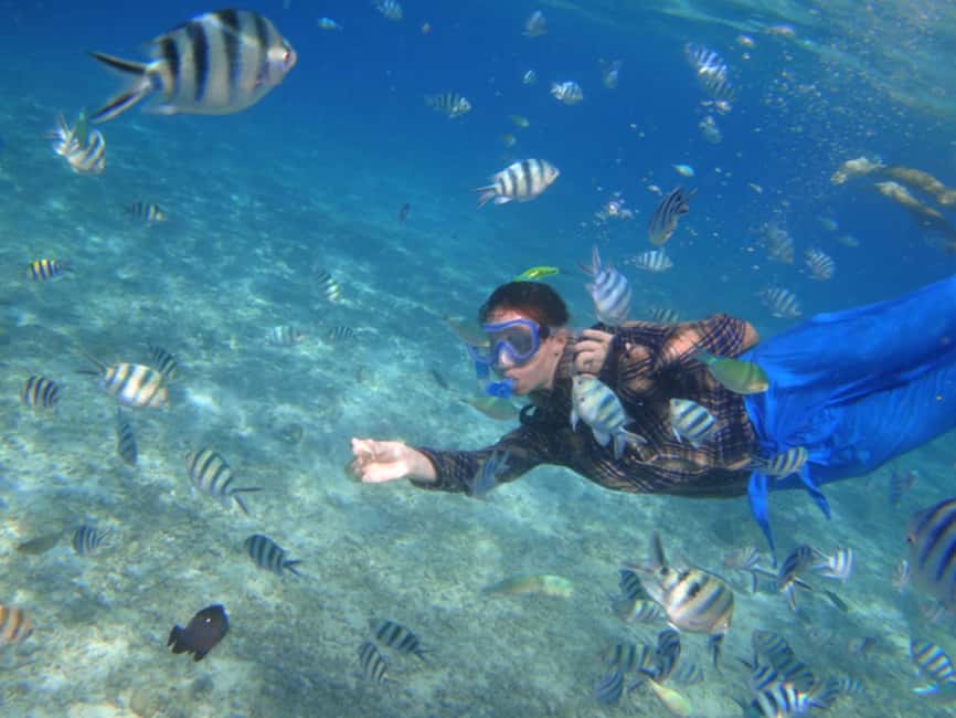 image n.5 of El Nido: Island Hopping Tour A Lagoons and Beaches activity in El Nido, uploaded by supplier