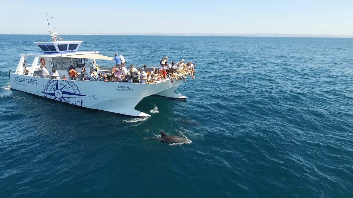 image n.8 of Vilamoura: Boat Tour Dolphin Quest activity in Vilamoura, uploaded by supplier