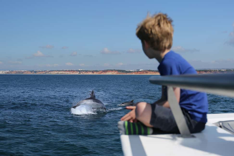image n.1 of Vilamoura: Boat Tour Dolphin Quest activity in Vilamoura, uploaded by supplier