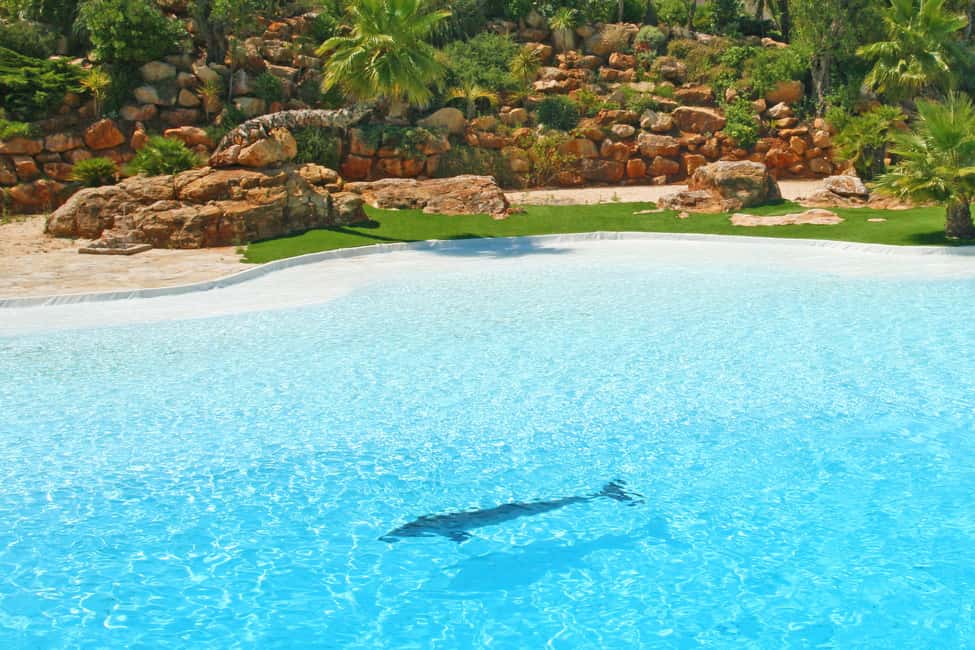 image n.35 of Algarve Zoomarine Ticket and Dolphin Emotions Experience activity in Albufeira, uploaded by supplier